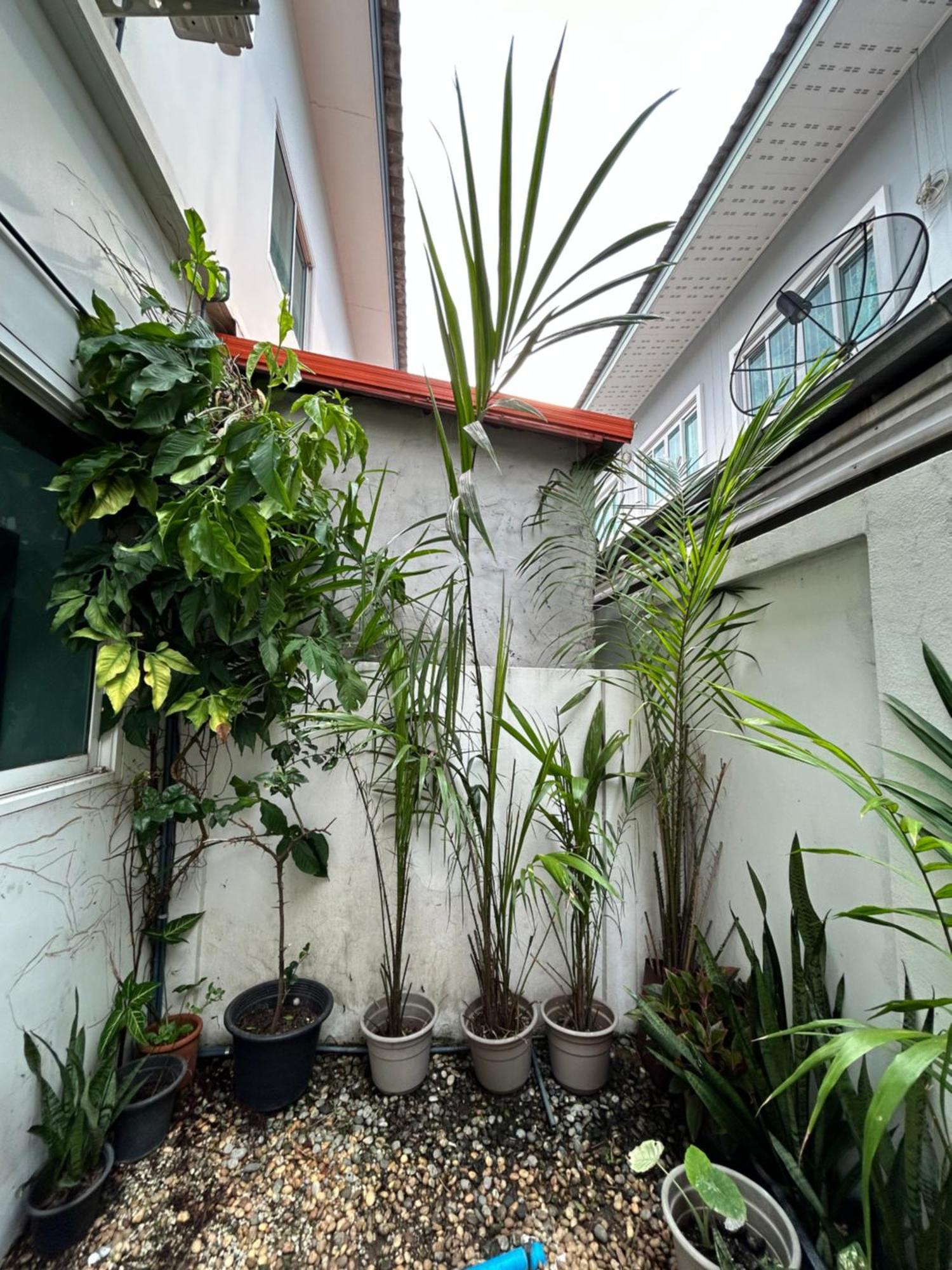 ไนซ์สเตย์ เฮาส์ แอทคลองสาม รังสิต คลองหลวง ปทุมธานี Nice Stay House At Khlong Sam - Rangsit - Khlong Luang - Phathumthani Eksteriør bilde